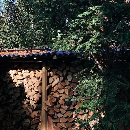 Mimi'S Natuurhuisje Lanaken Extérieur photo