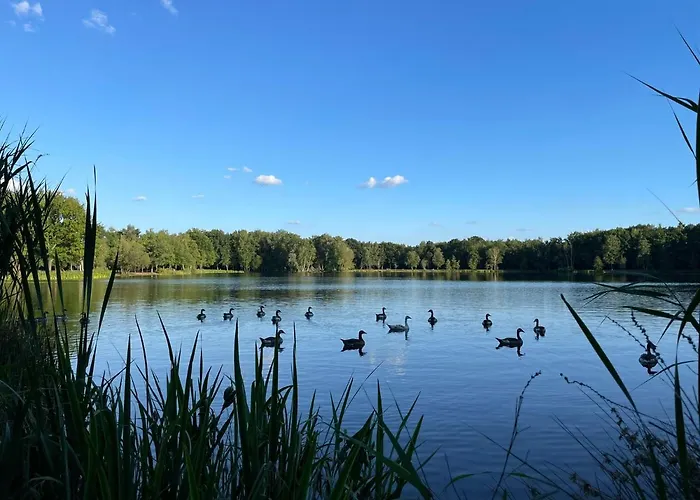 Mimi\'S Natuurhuisje