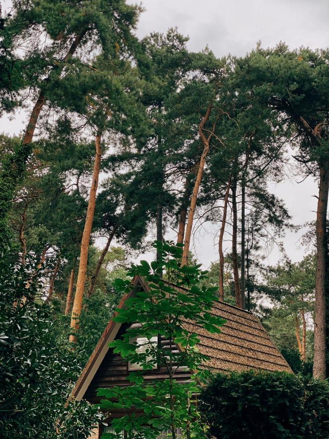 Сasa de vacaciones Mimi's Natuurhuisje *