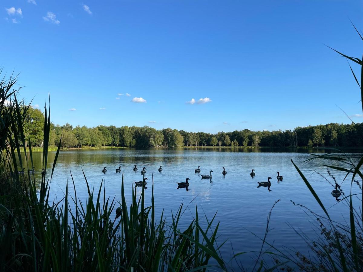 Mimi's Natuurhuisje * Lanaken