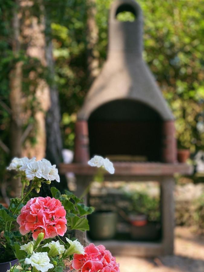 Mimi's Natuurhuisje Ferienhaus