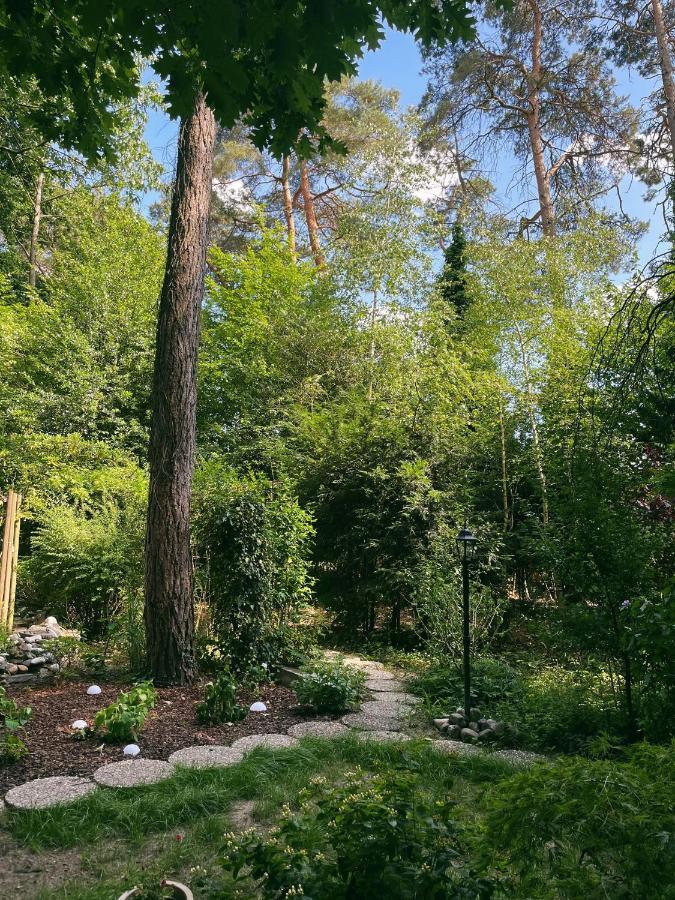 Сasa de vacaciones Mimi's Natuurhuisje *