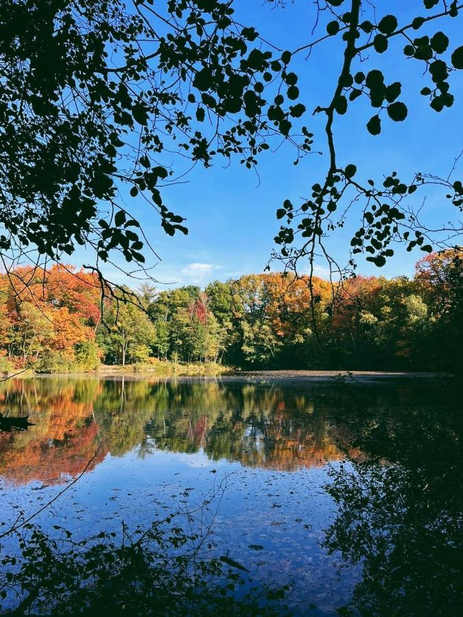 Mimi's Natuurhuisje Сasa de vacaciones Lanaken