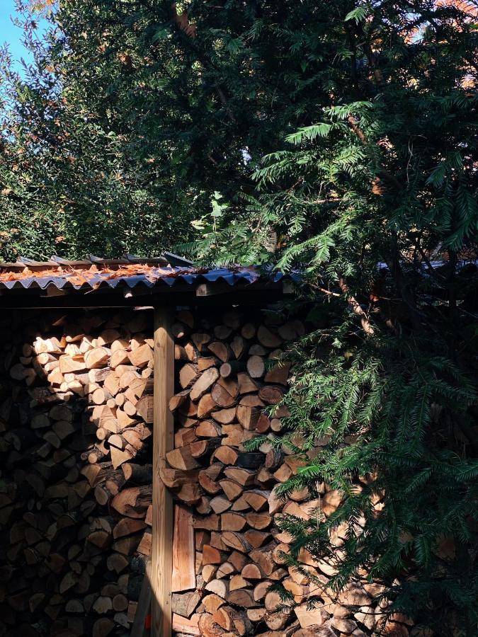 Mimi's Natuurhuisje Ferienhaus *